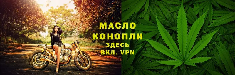 omg ТОР  Каменногорск  ТГК THC oil 